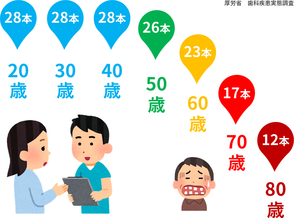 日本人の歯の年齢別本数